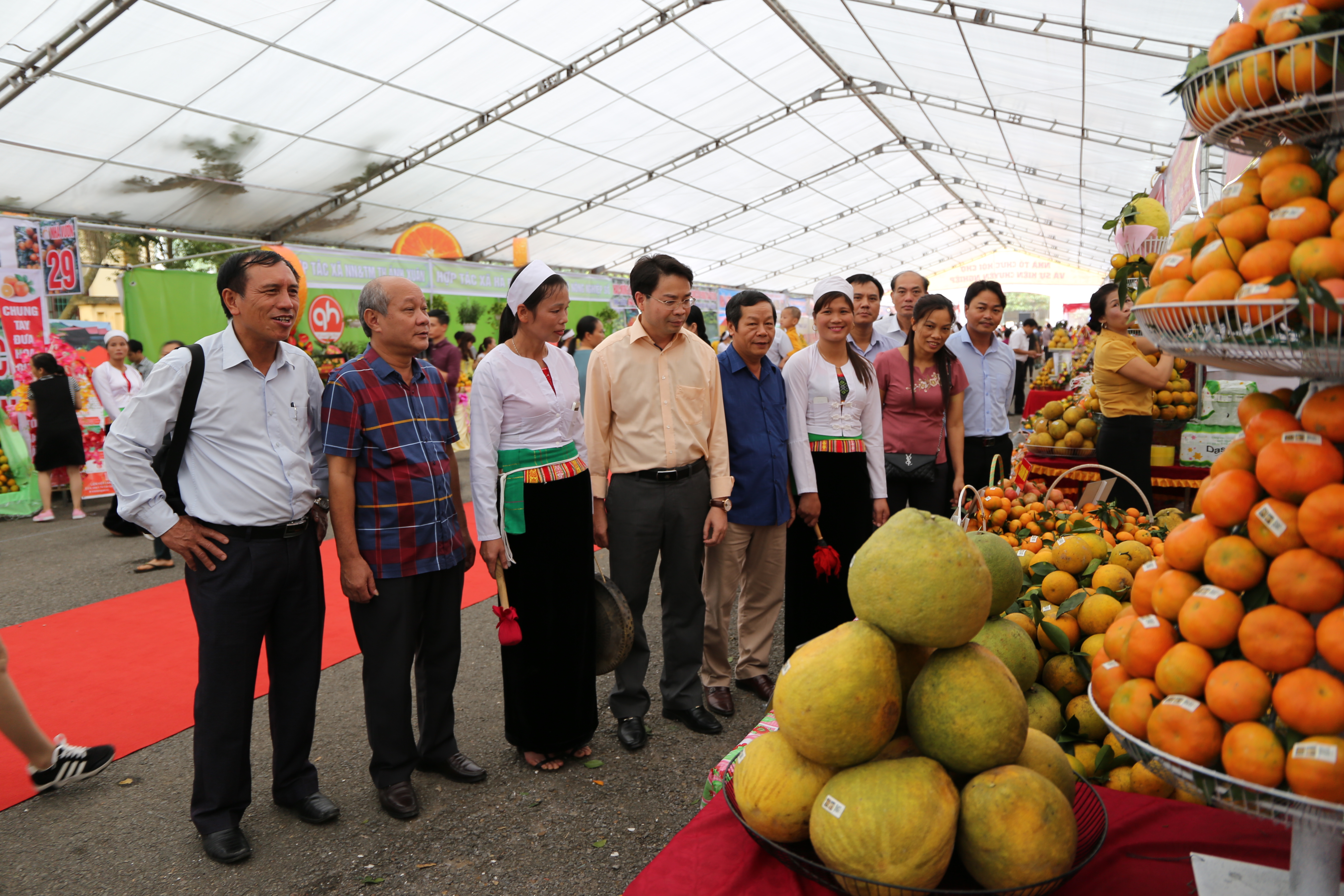   Huyện Ân Thi: Thăm quan mô hình trồng cam tại huyện Cao Phong, tỉnh Hòa Bình