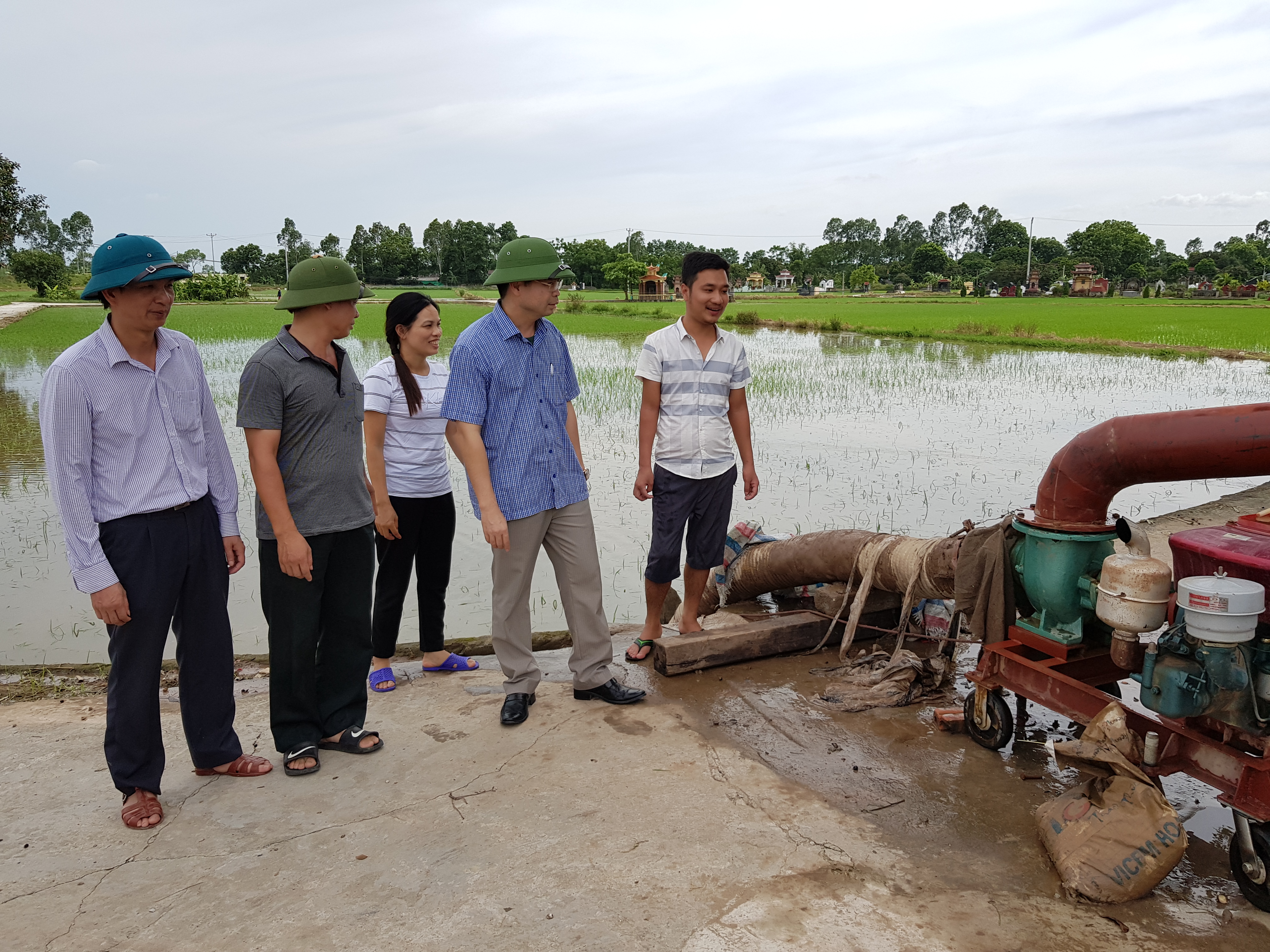   Huyện Ân Thi: Cơ bản khắc phục ngập lúa