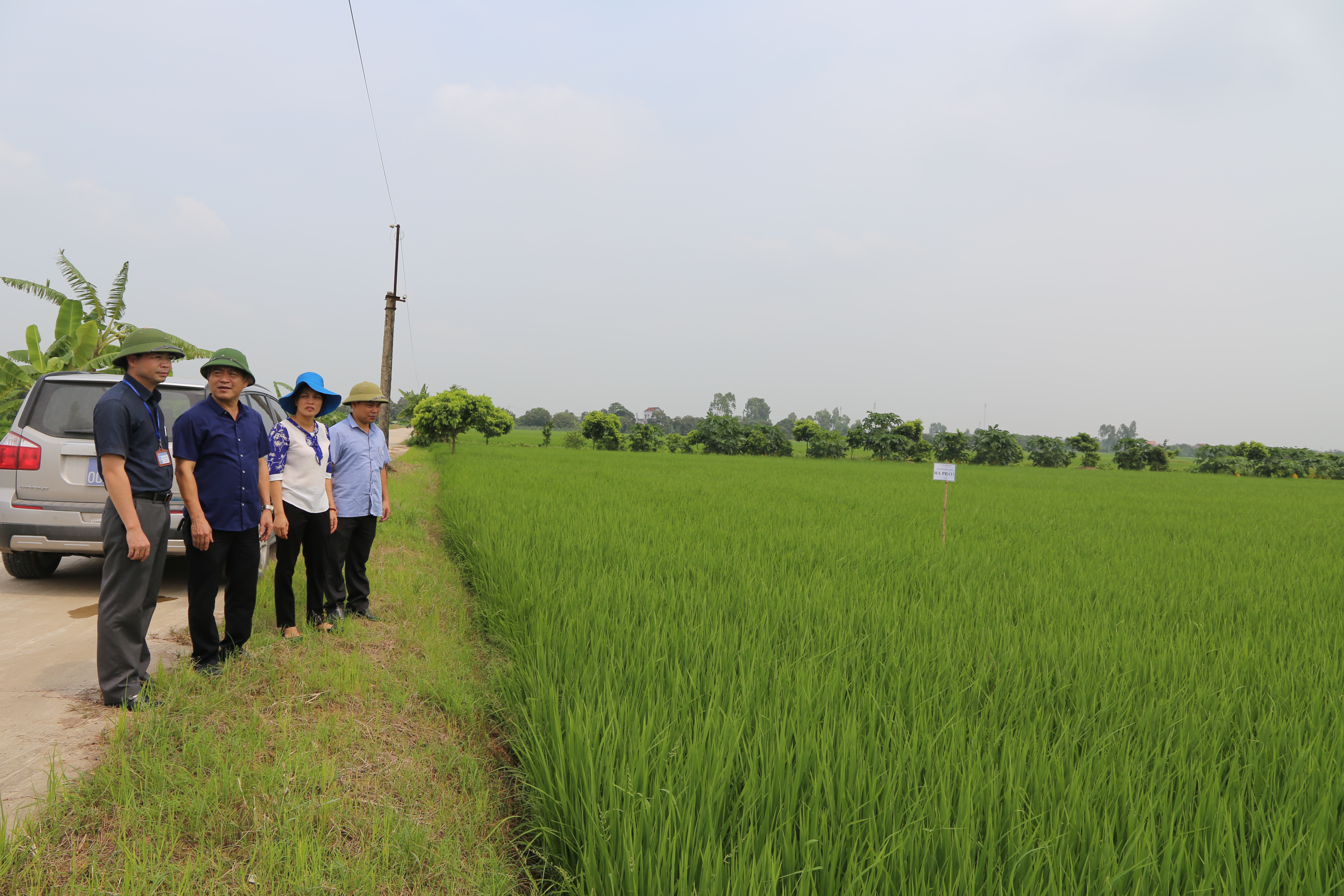   Lãnh đạo Sở nông nghiệp & PTNT và lãnh đạo huyện kiểm tra tình hình sản xuất và bàn giải pháp tiêu thụ nhãn