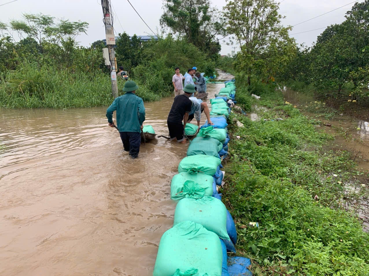   Các địa phương huy động lực lượng chống tràn đê