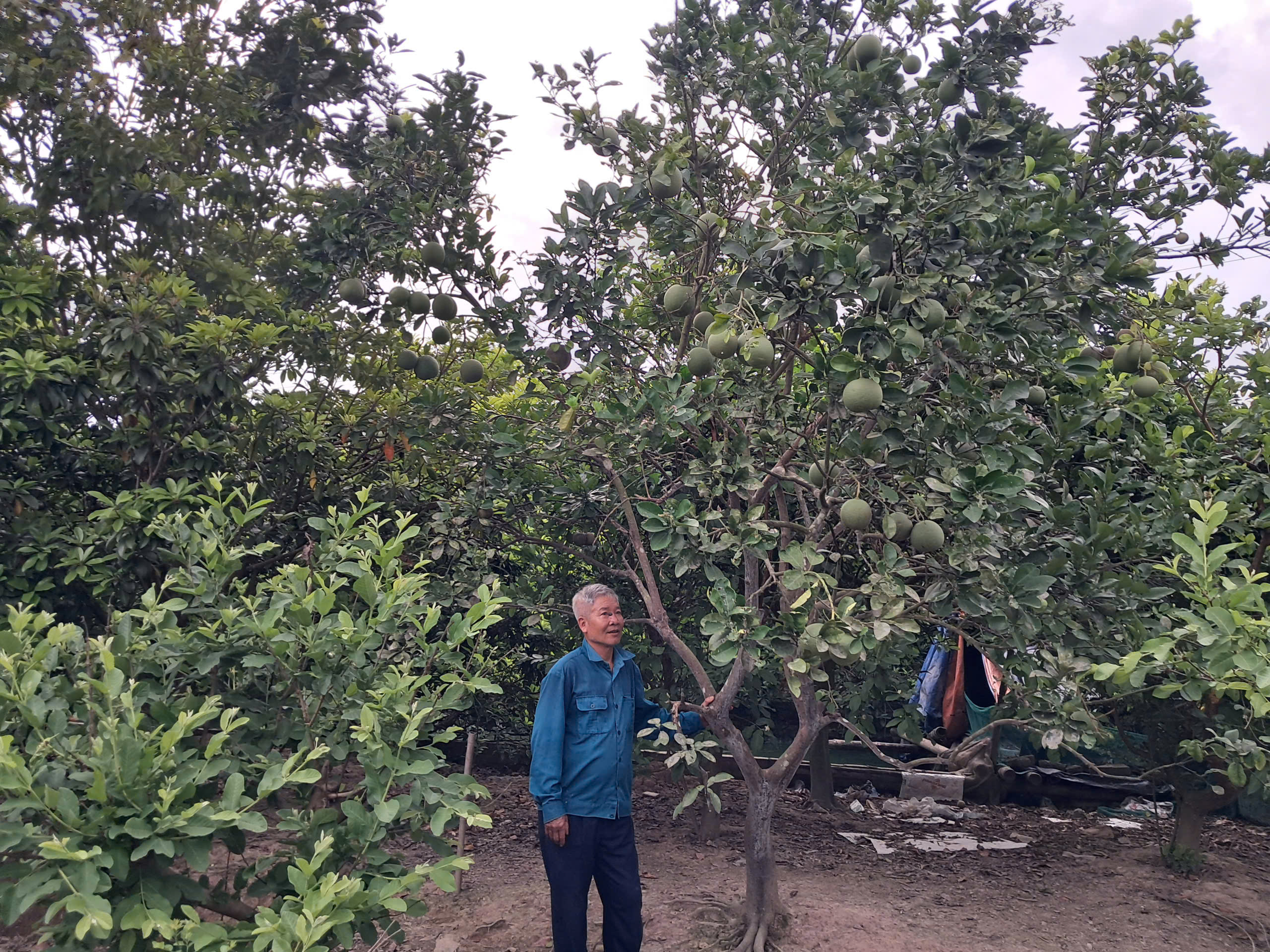 Hiệu quả nguồn vốn tín dụng chính sách sau hơn 1 năm thực hiện chính quyền địa phương 2 cấp tại xã Ân Thi, tỉnh Hưng Yên