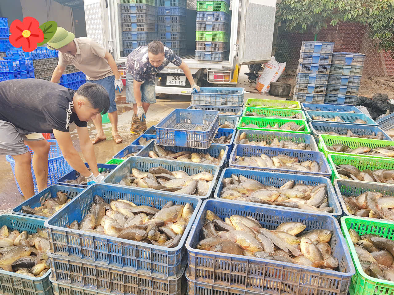 Phát huy vai trò của Nông dân, xây dựng quê hương Ân Thi giàu đẹp, văn minh